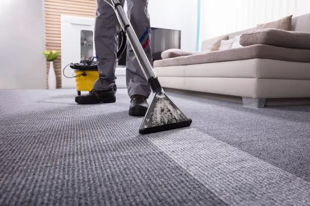Professional Carpet Cleaning Things To Know Before You Book